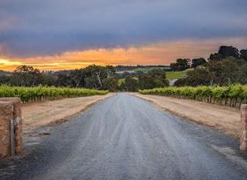 australia/adelaide/attraction/shottesbrooke-vineyards
