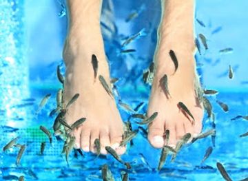 bulgaria/pomorie/attraction/fish-spa-relax-pomorie