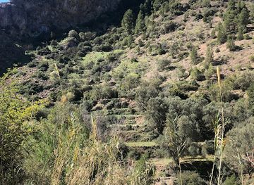 morocco/moulouya/attraction/aman-yahman-douayer