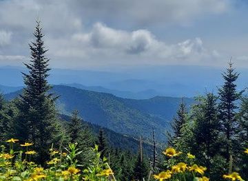 tennessee/gatlinburg/attraction/clingmans-dome