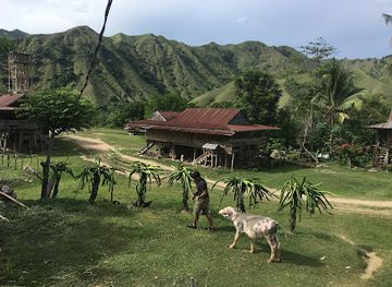 indonesia/tana-toraja/attraction/lembah-ollon