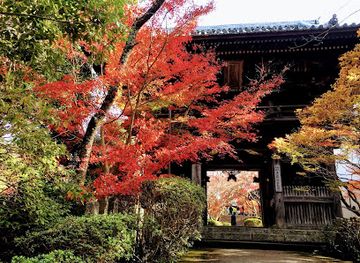 japan/izumi/attraction/matsuoji