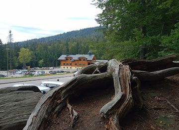 germany/bavarian-forest-national-park/attraction/waldkugelbahn-am-grossen-arbersee