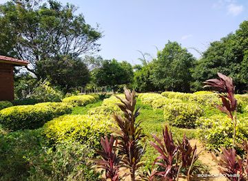 india/kanyakumari/attraction/pazhattottam-poongka