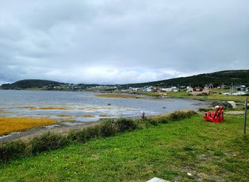 canada/gros-morne-national-park/attraction/gros-morne-wildlife-museum