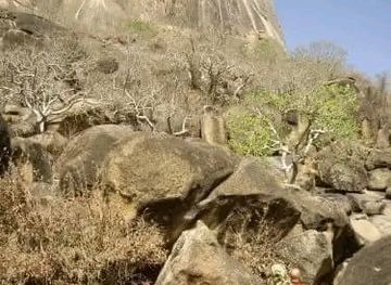 cameroon/waza-national-park/attraction/pic-de-mindif