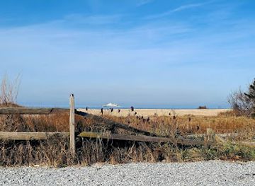 new-jersey/cape-may/attraction/higbee-beach-wildlife-management-area