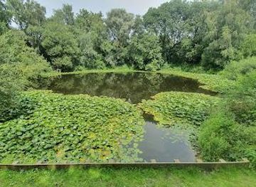 belgium/tournai/attraction/pool-of-peace