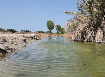 bahrain/southern-region/attraction/karzakkan-forest