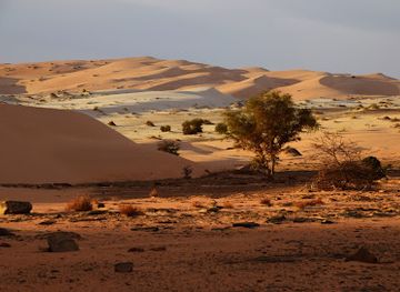 mauritania/chinguetti/attraction/hassi-ould-taleb