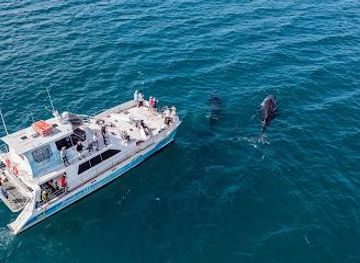 australia/fraser-island/attraction/freedom-ecotours-whale-watch-and-boat-charters