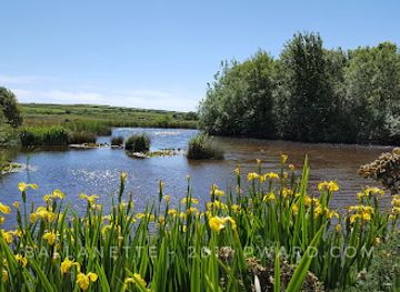 isle-of-man/laxey/attraction/ballannette-nature-reserve