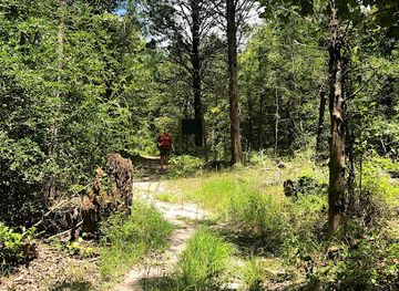 East Texas Arboretum