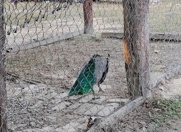 nepal/mechi-zone/attraction/jamunkhadi-simsar