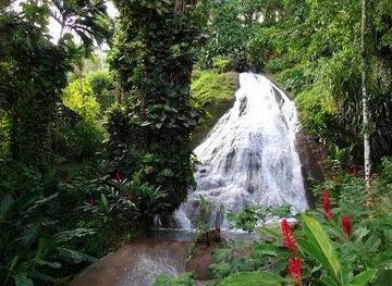 jamaica/ocho-rios/attraction/shaw-park-gardens