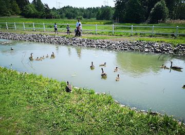 sweden/blekinge/attraction/hagelby-4h-gard