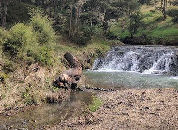 new-zealand/waikato/attraction/karakariki-waterfall