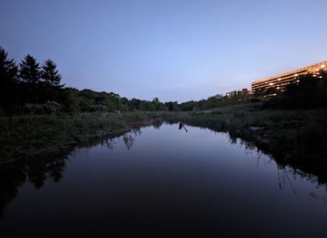 canada/golden-horseshoe/attraction/inner-trail-lookout
