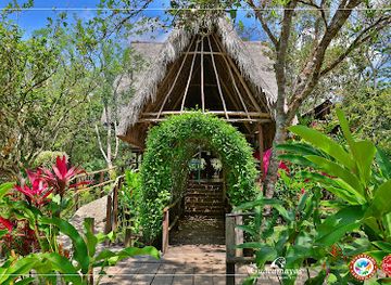 mexico/lacandon-jungle/attraction/aramacao-las-guacamayas