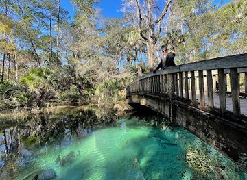 florida/juniper-springs-recreation-area/attraction/florida-trail-juniper-springs-recreation-area-trailhead