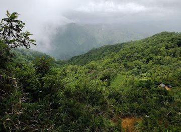 haiti/grand-anse/attraction/pic-macaya