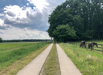 germany/lüneburg-heath/attraction/planetenlehrpfad-handeloh
