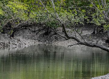 india/sundarbans/attraction/sundarban-nature-club