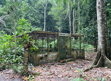 solomon-islands/savo-island/attraction/honiara-botanical-gardens
