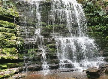 australia/mount-field-national-park/attraction/myrtle-gully-falls