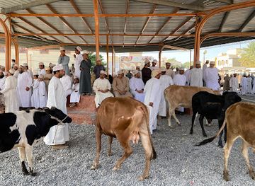 oman/nizwa/attraction/souq-al-aghnam