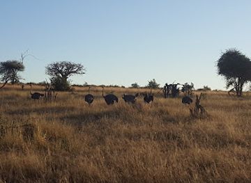 tanzania/ruaha-national-park/attraction/great-ruaha-river-viewpoint