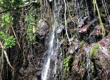 philippines/eastern-visayas/attraction/tomalistis-falls