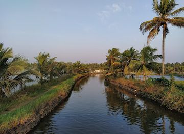 india/kerala-backwaters/attraction/the-living-islands-of-kadamakudy