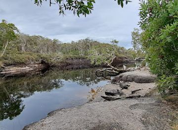 australia/northern-rivers/attraction/jerusalem-creek-walk