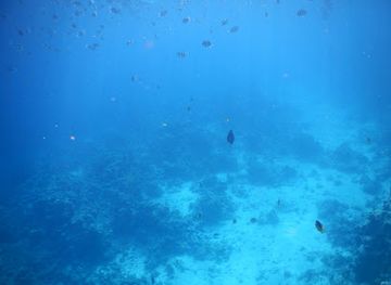 egypt/ras-muhammad-national-park/attraction/al-raseef-al-bahri-lsfynat-al-khdr