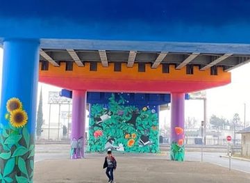 california/bakersfield/attraction/bloom-mural-bakersfield