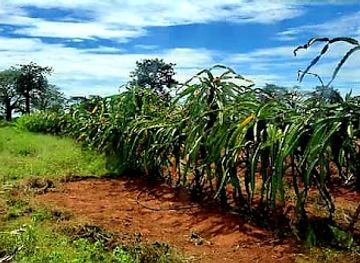 angola/kissama-national-park/attraction/parque-nacional-da-quissama