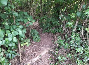 new-zealand/whangarei/attraction/onoke-scenic-reserve