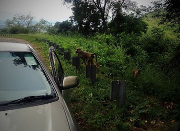 malawi/mangochi/attraction/lake-malawi-outlet-view