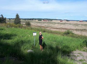 sweden/narke/attraction/mora-stones