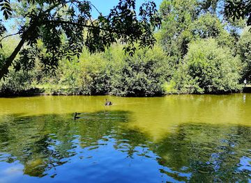 france/poitou-charentes/attraction/les-oiseaux-du-marais-poitevin-parc-ornithologique-et-embarcadere