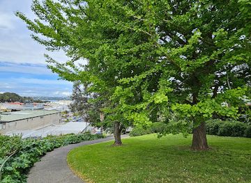 new-zealand/auckland/devonport/attraction/rawiri-park