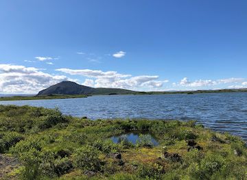 iceland/fimmvorduhals-pass/attraction/sigurgeir-s-bird-museum