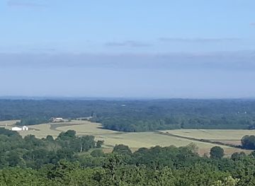 illinois/ferne-clyffe-state-park/attraction/panoramic-view