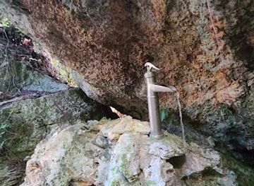 puerto-rico/camuy-river-cave-park/attraction/hacienda-cauce-sin-rio