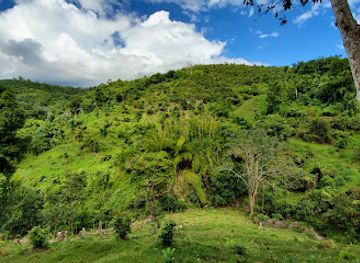 puerto-rico/central-mountain-range/attraction/bosque-estatal-de-maricao