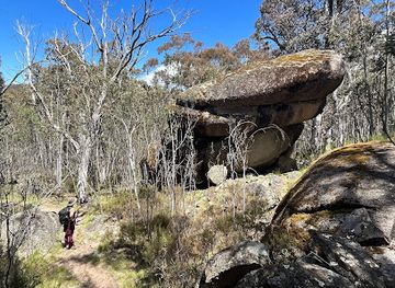 australia/mount-kosciuszko/attraction/waterfall-walking-track