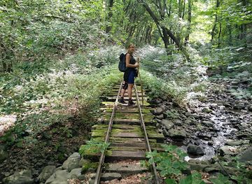 hungary/duna-ipoly-national-park/attraction/kemence-forest-museum-railway