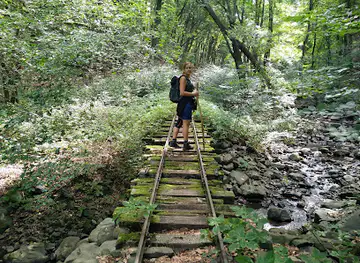 Kemence Forest Museum Railway