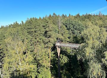 lithuania/anyksciai-treetop-walking-path/attraction/inkilu-ekspozicija